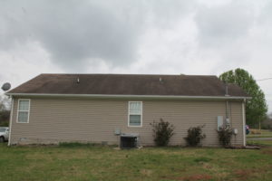 Roof cleaning