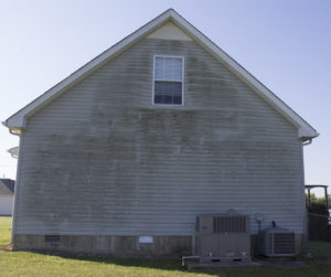 Mold and mildew on vinyl house