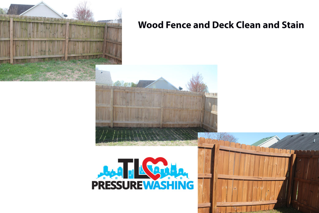 Fence clean & stain