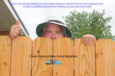 Clean fence