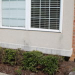 stucco cleaning