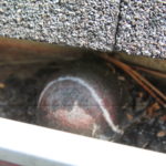 Gutter Clog