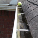 Soon to be gutter clog